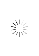 Relatório e Contas 2024 (aguarda aprovação das tutelas)